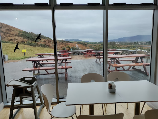 Ginger & Wild Cafe - Hospitality and gastronomy