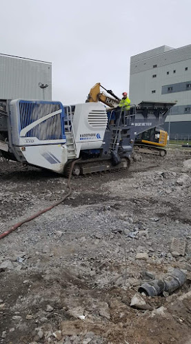 Comentarii opinii despre The Bagel Bar Coffee House