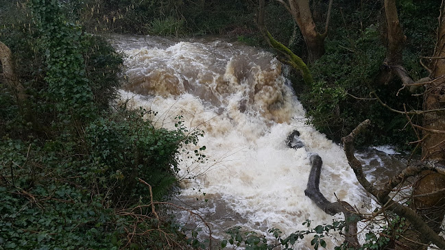 Opinii despre Dalys Bar în Ballynacally - Hospitality and gastronomy