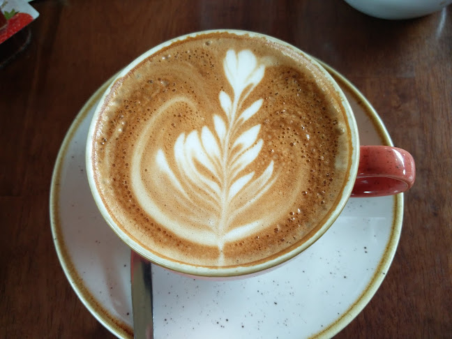 Esquires - The Organic Coffee Co Mullingar