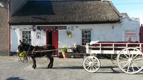 Conways Bar - Hospitality and gastronomy