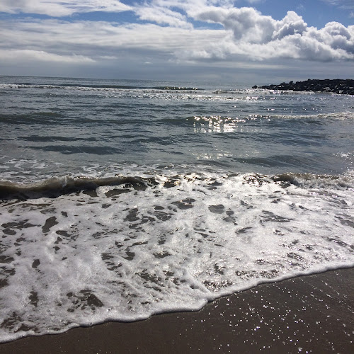 The Palm Tree - Ballyglunin