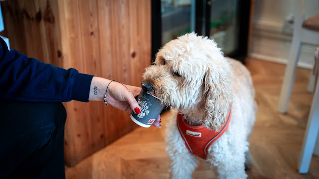 3 Castle St, Athlone And Bigmeadow, Athlone, Co. Westmeath, N37 W6D2