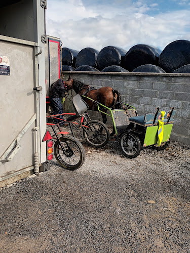 Rattigan's Pub - Hospitality and gastronomy