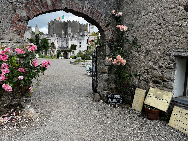 Opinii despre Huntington Castle Tearoom în Enniscorthy - Hospitality and gastronomy