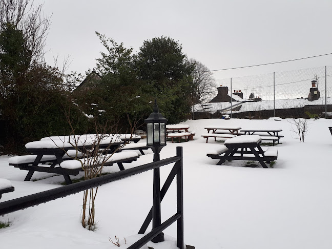 Annie Mac's - Hospitality and gastronomy