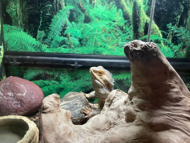 Thyme Out Cafe/Tea Rooms - Hospitality and gastronomy