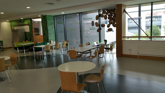 Phoenix Restaurant - Maynooth