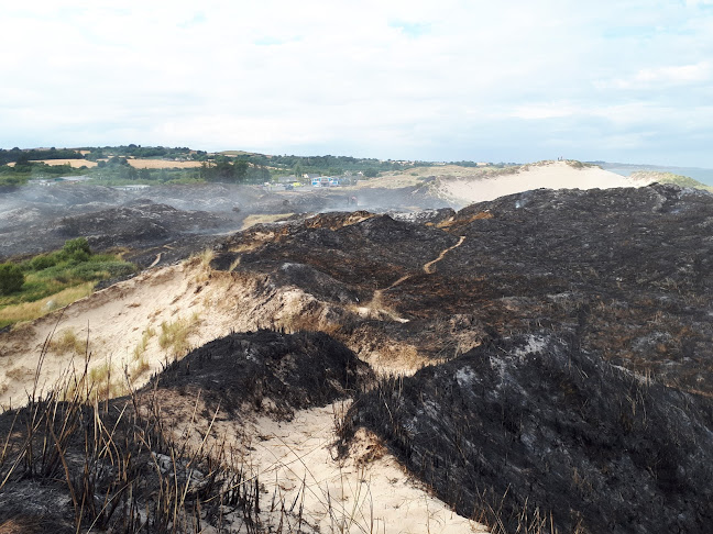 Barnahask, Co. Wexford