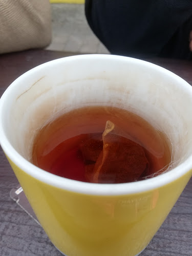 Maple Leaf - Hospitality and gastronomy