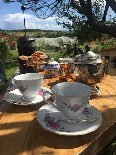 Opinii despre Castaway East în Schull - Hospitality and gastronomy