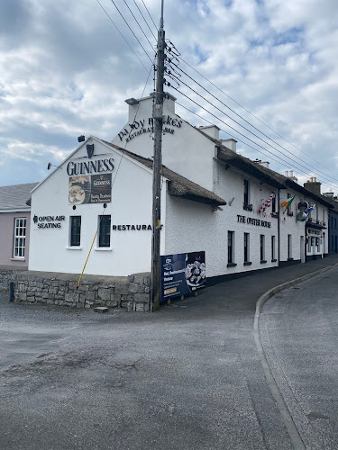 Opinii despre Paddy Burkes Bar & Restaurant în Clarinbridge - Hospitality and gastronomy