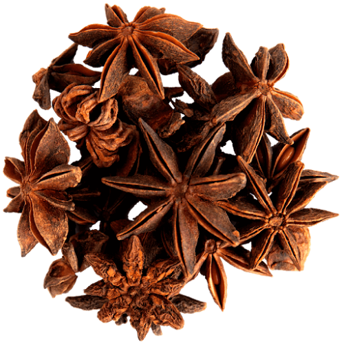 Green Saffron Spices - Hospitality and gastronomy