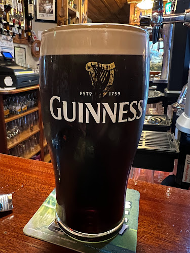 Harp and Shamrock Bar - Hospitality and gastronomy