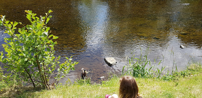 Comentarii opinii despre The Daily Grind, Kanturk