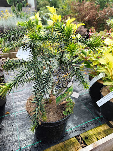 Holywell - Co. Sligo