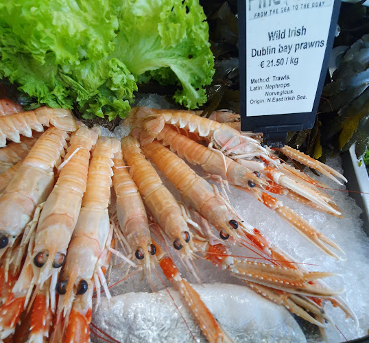 Fine Fins - Hospitality and gastronomy