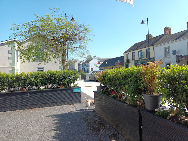 Main St, Lanesborough, Co. Longford, N39 P3K4