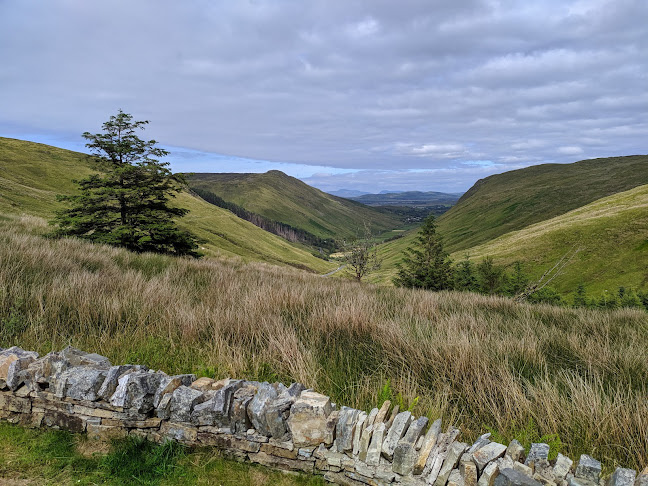 Pirates of the Coffeebean - Hospitality and gastronomy