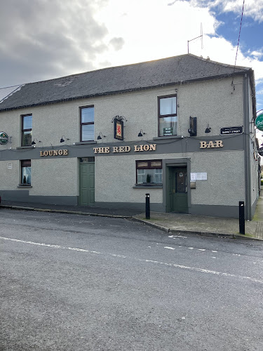 Opinii despre The Red Lion în Muine Bheag - Hospitality and gastronomy