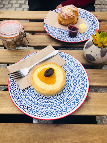 Waterlilies - Carlow