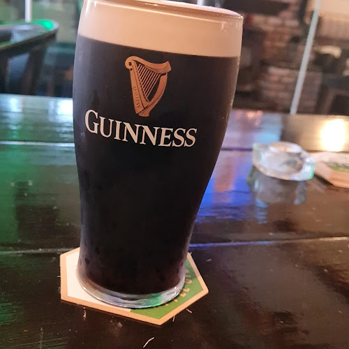 The Lough Ree Inn - Coosan Point