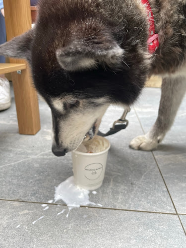 Black Dog Coffee - Navan