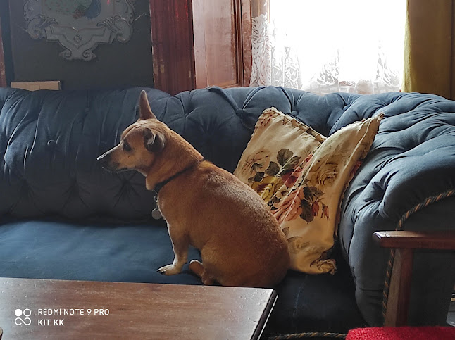 Fennellys of Callan - Hospitality and gastronomy