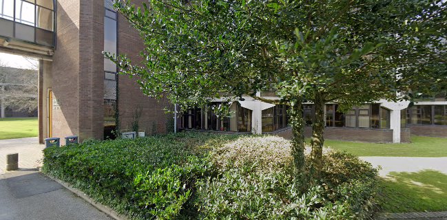 Eden Restaurant | University of Limerick