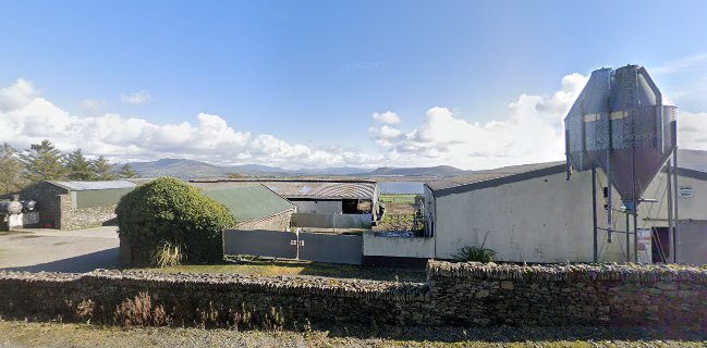 Valentia Ice Cream Parlour and Farmhouse Dairy