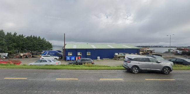 Carlingford oyster company