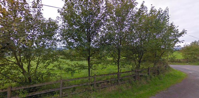 Denis O'Leary Furniture