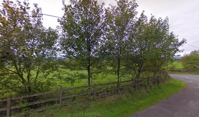 Denis O'Leary Furniture