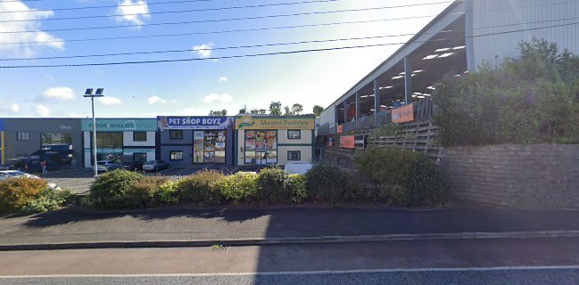 Opinii despre Adriana's Bistro & Cafe @masterpastries în Cavan - Hospitality and gastronomy