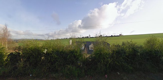 The Burlesque Bakery - Hospitality and gastronomy