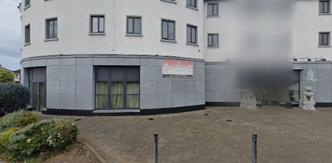 Opinii despre Royal Court Chinese Restaurant în Ennis - Hospitality and gastronomy