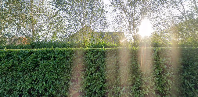 Opinii despre Nanny Fran’s în Swords - Hospitality and gastronomy