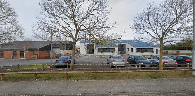 Coolfin Organic Bakery - Hospitality and gastronomy