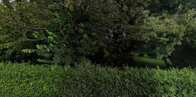 Bernadette Kennelly - Wedding Cakes Specialist