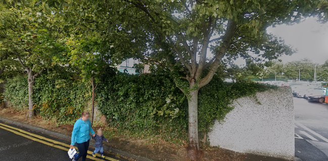 Insomnia Coffee Company - Ardkeen