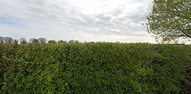 Cute Cakes by Bronagh