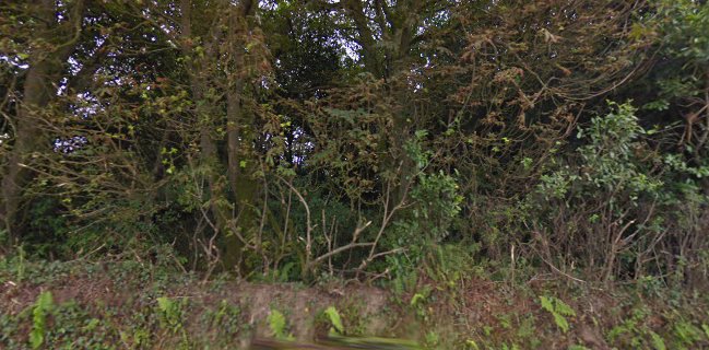 Faha Court Bar & Courtyard