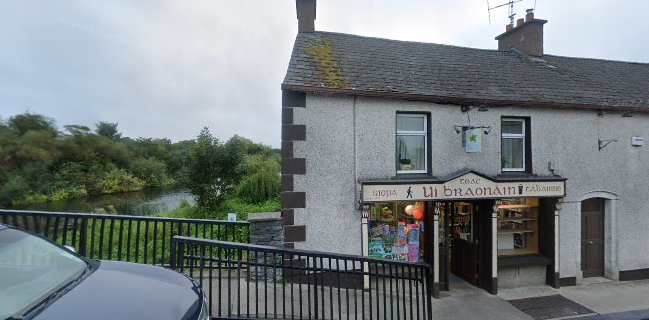 Opinii despre Teac Uí Braonáin în Leighlinbridge - Hospitality and gastronomy