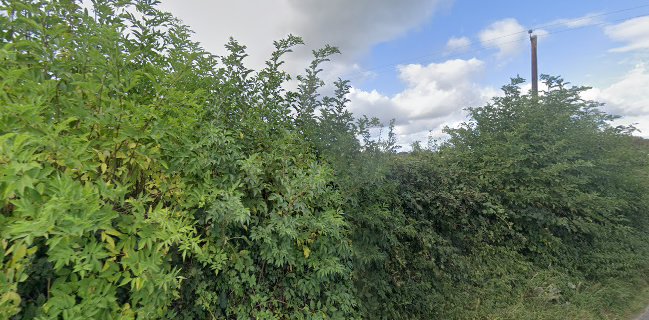 Opinii despre The Rusty Copper în Ballina - Hospitality and gastronomy