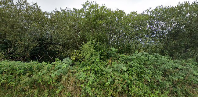 Senses Restaurant and Wine Bar