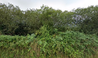 Senses Restaurant and Wine Bar