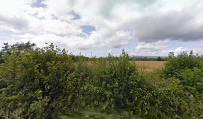 The grsnge cappagh portlaoise co laois