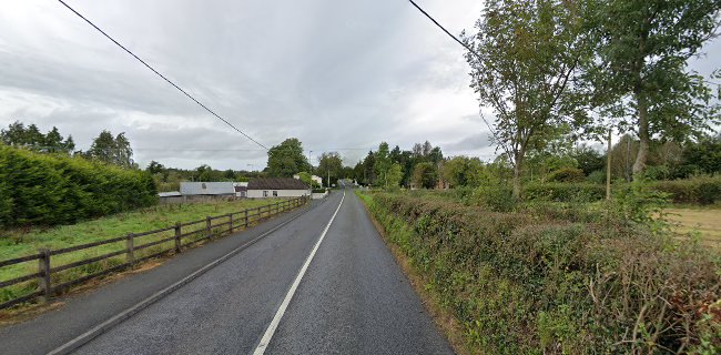 Opinii despre Pizza Max/Big John's în Mohill - Hospitality and gastronomy