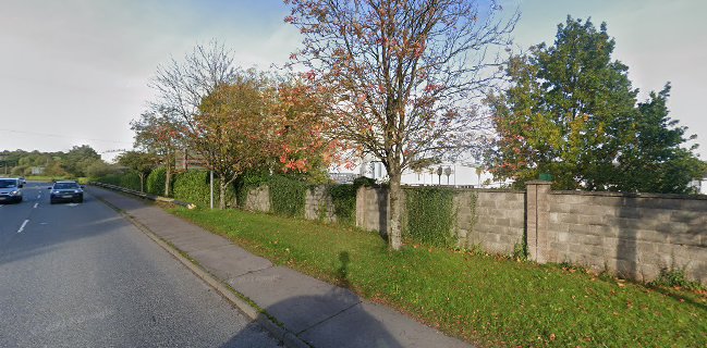 Opinii despre Louise Sugar Artist în Mallow - Hospitality and gastronomy