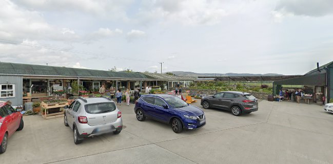 Opinii despre Strandfield în Dundalk - Hospitality and gastronomy